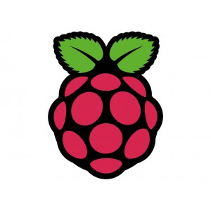 Raspberry Pi® - Sticker